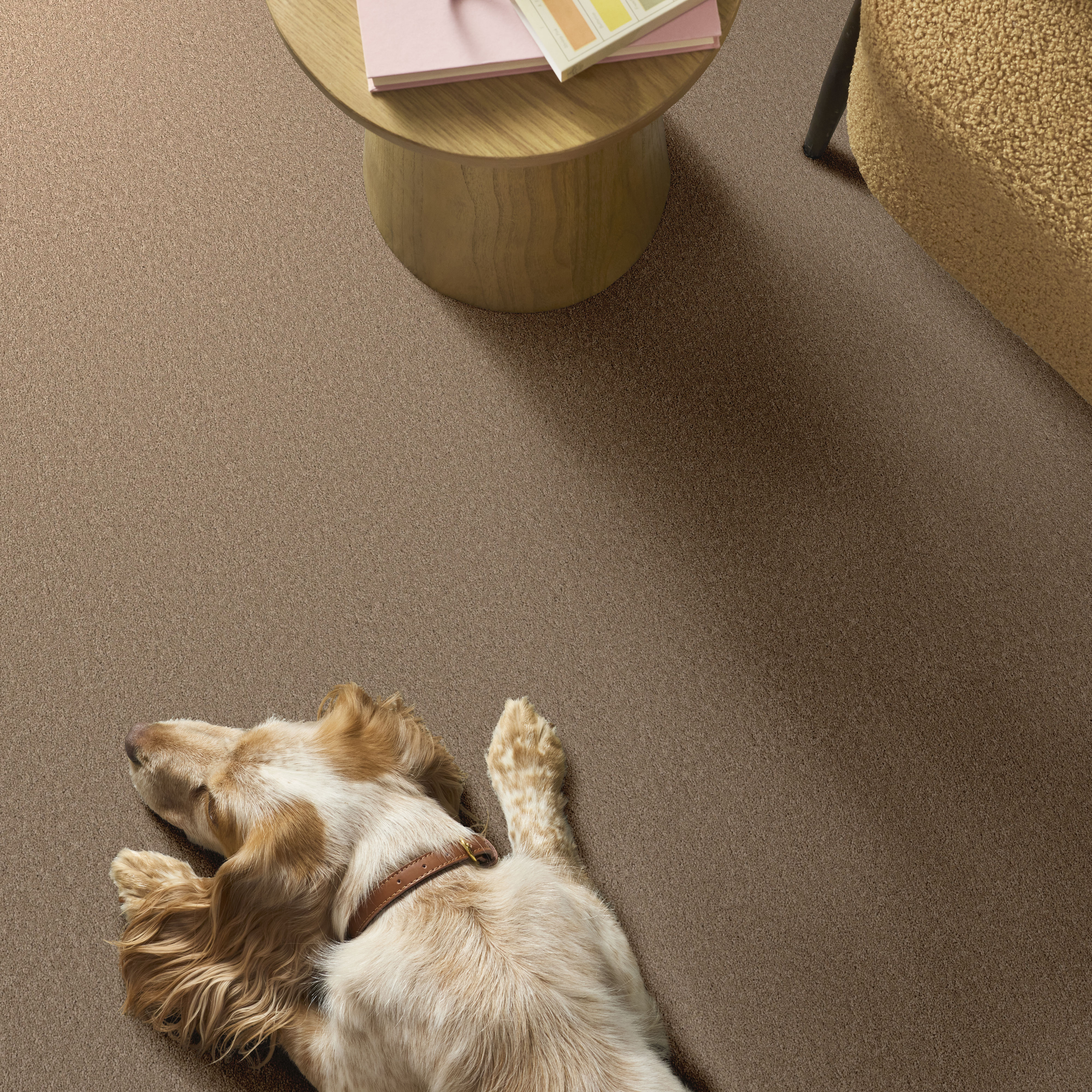 Velvet Touch Ii - Canoe Carpet | Shaw Floors
